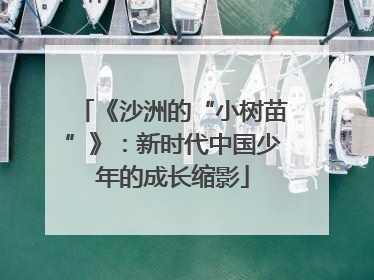 《沙洲的“小树苗”》：新时代中国少年的成长缩影
