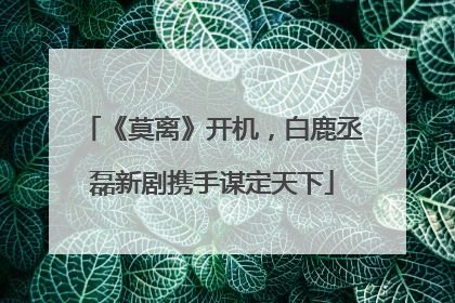 《莫离》开机，白鹿丞磊新剧携手谋定天下