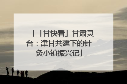 「甘快看」甘肃灵台：津甘共建下的针灸小镇振兴记