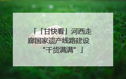 「甘快看」河西走廊国家遗产线路建设“干货满满”