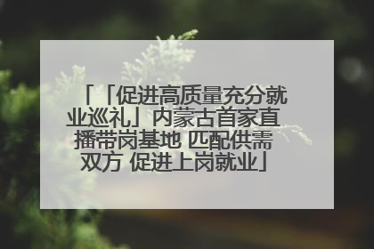 「促进高质量充分就业巡礼」内蒙古首家直播带岗基地 匹配供需双方 促进上岗就业