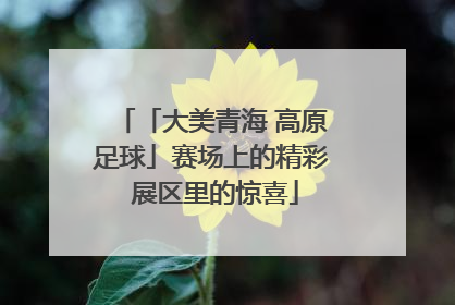 「大美青海 高原足球」赛场上的精彩 展区里的惊喜