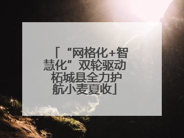 “网格化+智慧化”双轮驱动 柘城县全力护航小麦夏收
