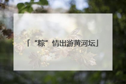“粽”情出游黄河坛