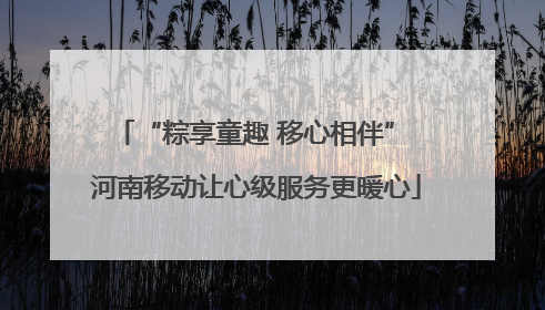 “粽享童趣 移心相伴” 河南移动让心级服务更暖心