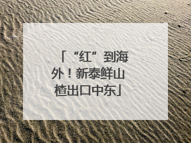 “红”到海外！新泰鲜山楂出口中东