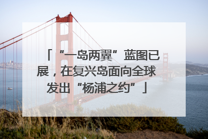 “一岛两翼”蓝图已展，在复兴岛面向全球发出“杨浦之约”