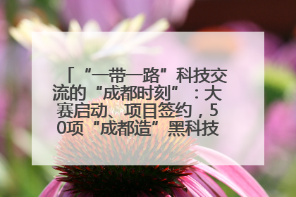 “一带一路”科技交流的“成都时刻”：大赛启动、项目签约，50项“成都造”黑科技吸引多国客商