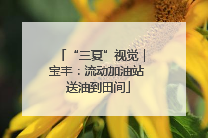 “三夏”视觉｜宝丰：流动加油站 送油到田间
