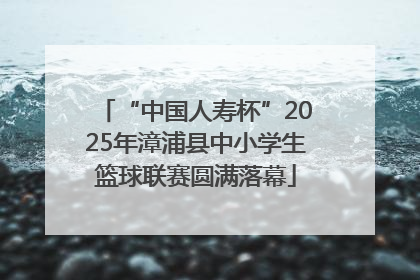 “中国人寿杯”2025年漳浦县中小学生篮球联赛圆满落幕
