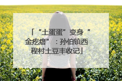 “土蛋蛋”变身“金疙瘩”：孙伯镇西程村土豆丰收记