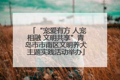 “宠爱有方 人宠相融 文明共享”青岛市市南区文明养犬主题实践活动举办