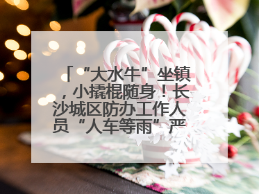 “大水牛”坐镇，小撬棍随身！长沙城区防办工作人员“人车等雨”严阵以待