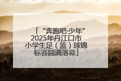 “奔跑吧·少年”2025年丹江口市小学生足（篮）球锦标赛圆满落幕