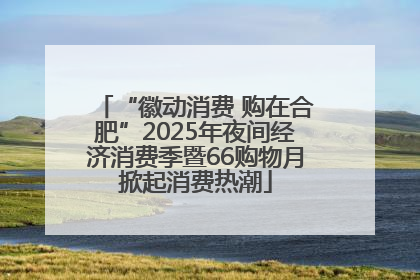 “徽动消费 购在合肥”2025年夜间经济消费季暨66购物月掀起消费热潮
