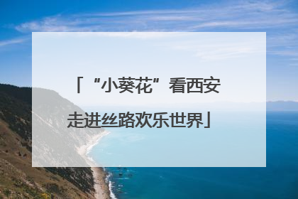 “小葵花”看西安走进丝路欢乐世界