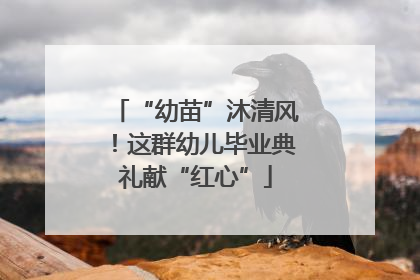 “幼苗”沐清风！这群幼儿毕业典礼献“红心”