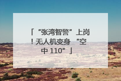“张湾智警”上岗！无人机变身 “空中 110”