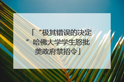 “极其错误的决定”哈佛大学学生怒批美政府禁招令