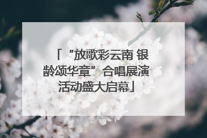 “放歌彩云南 银龄颂华章”合唱展演活动盛大启幕