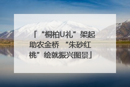 “桐柏U礼”架起助农金桥 “朱砂红桃”绘就振兴图景