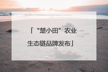 “楚小田”农业生态链品牌发布