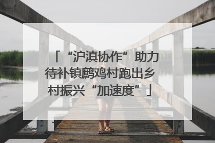 “沪滇协作”助力待补镇鹧鸡村跑出乡村振兴“加速度”
