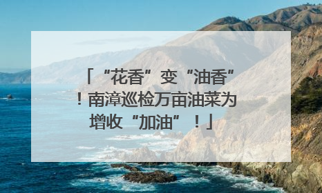 “花香”变“油香”！南漳巡检万亩油菜为增收“加油”！