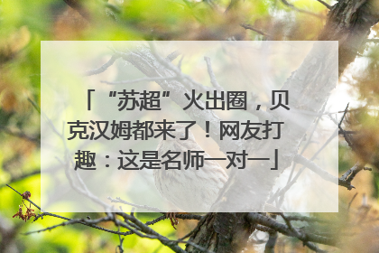 “苏超”火出圈，贝克汉姆都来了！网友打趣：这是名师一对一