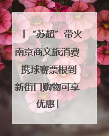“苏超”带火南京商文旅消费 携球赛票根到新街口购物可享优惠