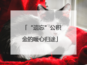 “遗忘”公积金的暖心归途