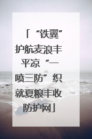 “铁翼”护航麦浪丰 平凉“一喷三防”织就夏粮丰收防护网