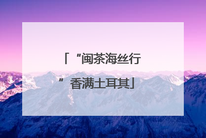 “闽茶海丝行”香满土耳其