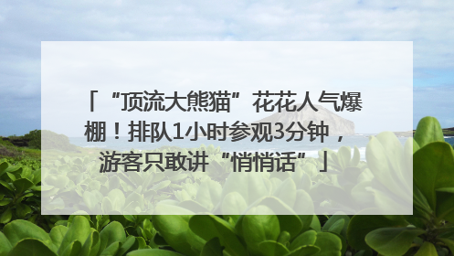 “顶流大熊猫”花花人气爆棚！排队1小时参观3分钟，游客只敢讲“悄悄话”