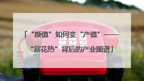“颜值”如何变“产值”——“赏花热”背后的产业图谱