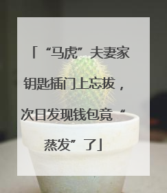 “马虎”夫妻家钥匙插门上忘拔，次日发现钱包竟“蒸发”了