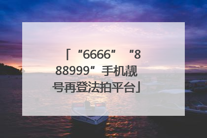 “6666”“888999”手机靓号再登法拍平台