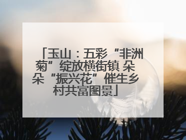玉山：五彩“非洲菊”绽放横街镇 朵朵“振兴花”催生乡村共富图景