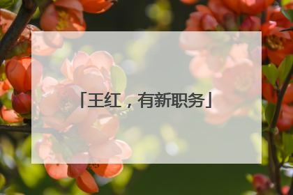 王红，有新职务