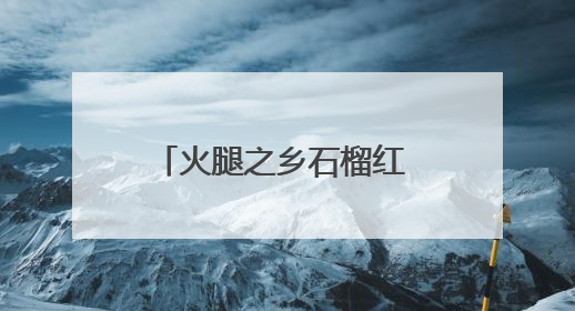 火腿之乡石榴红 美育润心情共融