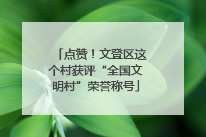 点赞！文登区这个村获评“全国文明村”荣誉称号