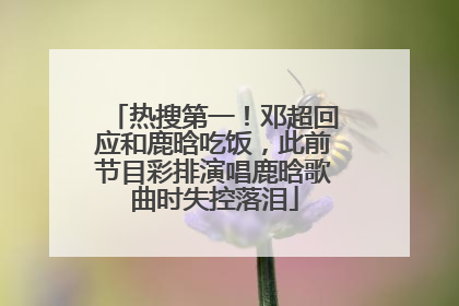 热搜第一！邓超回应和鹿晗吃饭，此前节目彩排演唱鹿晗歌曲时失控落泪