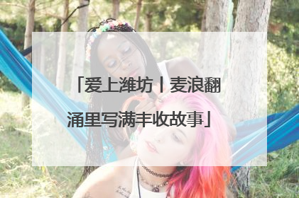 爱上潍坊丨麦浪翻涌里写满丰收故事