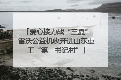 爱心接力战“三夏” 雷沃公益机收开进山东重工“第一书记村”