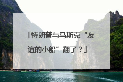 特朗普与马斯克“友谊的小船”翻了？