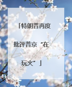 特朗普再度批评普京“在玩火”