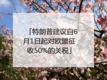 特朗普建议自6月1日起对欧盟征收50%的关税