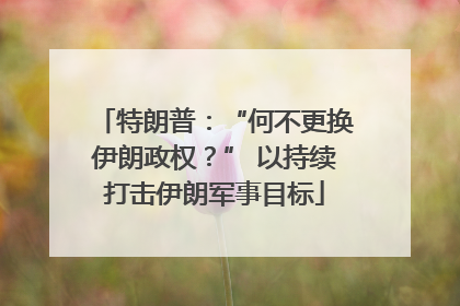 特朗普：“何不更换伊朗政权？” 以持续打击伊朗军事目标