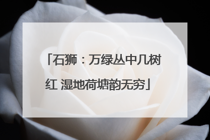 石狮：万绿丛中几树红 湿地荷塘韵无穷