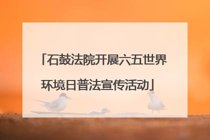 石鼓法院开展六五世界环境日普法宣传活动